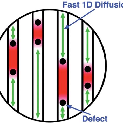 Schematic Illustration Of Ambipolar Diffusion Of Lithium Ions And