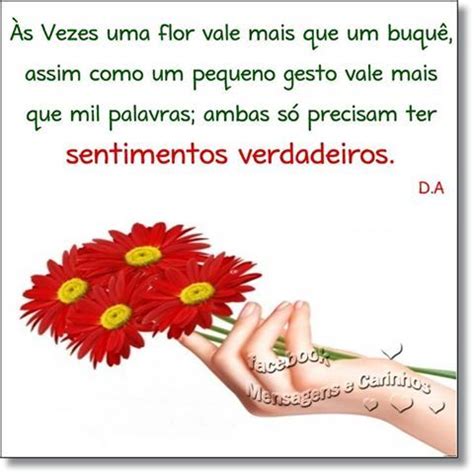 Sentimentos Frase Às vezes uma flor vale mais que um buquê assim como