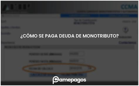 Cómo se paga deuda de monotributo Actualizado 2024