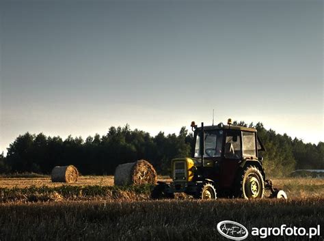 Fotografia Ciagnik Ursus C 330M 599436 Galeria Rolnicza Agrofoto