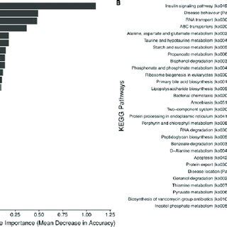 The Impact Of Exclusive Enteral Nutrition On The Gut Microbiome And