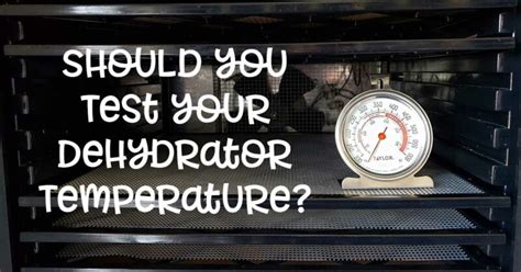 Test The Temperature On Your Dehydrator For Safe Dehydrating The Purposeful Pantry