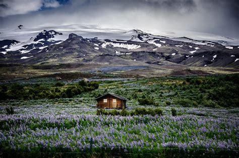 35 Isolated Houses As Far Away From Busy As You Can Get Architecture