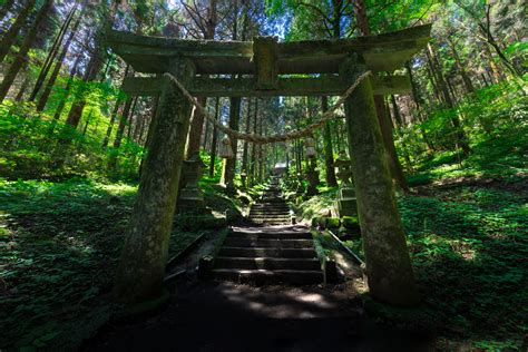 Sacred Serenity Kamishikimi Shrine In Enchanting Forest Offbeat Japan