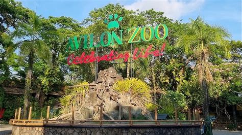 Avilon Zoo Entrance Fee