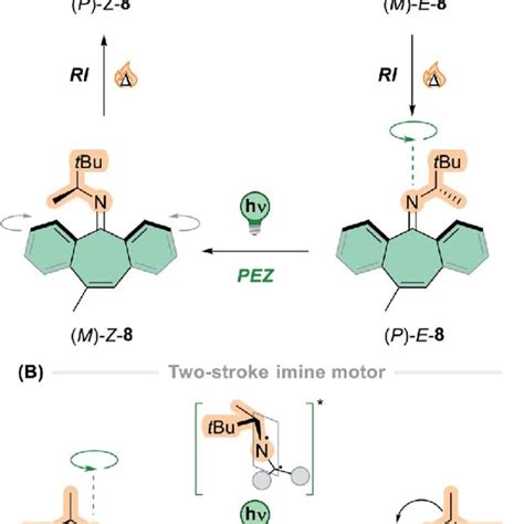 Pdf Designing Light Driven Rotary Molecular Motors