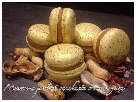 J Ai Réalisé Ces Macarons Pour Le Concours De Macaron Amateur International De Vincent Guerlais