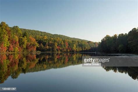 Alaska Treeline Photos And Premium High Res Pictures Getty Images