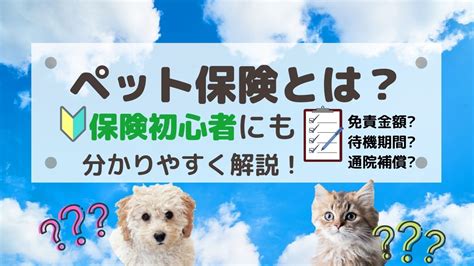 【fp監修】ペット保険とは？をわかりやすく！保険初心者が知っておくべきこと｜2024年12月最新！ペット保険の比較・見積もり。人気ランキングで