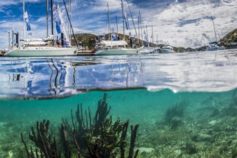 Rolex Swan Cup Caribbean 2013 Scuttlebutt Sailing News