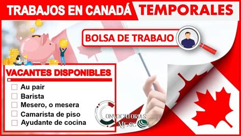 Por Qu Hay Tanto Trabajo En Canad Haras Dadinco