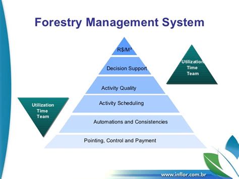 Forestry Management System - SGF