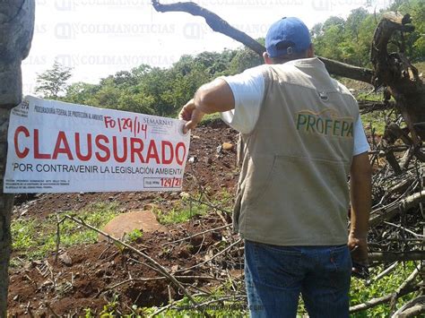 Profepa Clausura Mina Clandestina En Minatitl N Colima Noticias