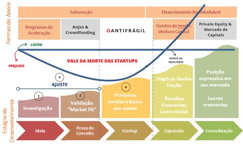 O Que Faz Uma Aceleradora De Fintechs