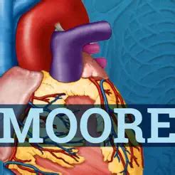 usmle clinical anatomy quiz   app store