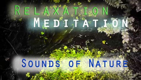 1 Hour Sounds Of Nature Meditation And Relaxation Pound Sound