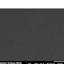 SEM Micrograph Of The Polymeric Fi Lm At Different Magni Fi Cations