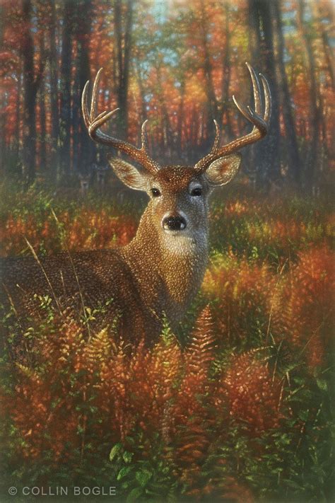 Deer Painting, Deer Art Print, Autumn Deer, Whitetail Buck, Wildlife ...