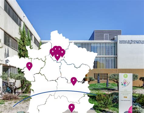 Institut Du Cancer De Montpellier Centre De Lutte Contre Le Cancer Et