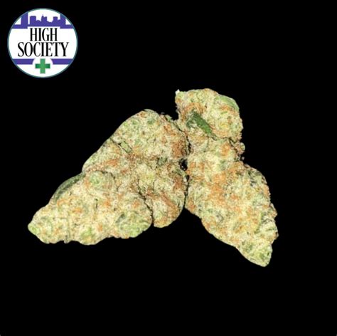 Jenny Kush 1 Balanced Hybrid Cannabis Strain High Society Dispensary