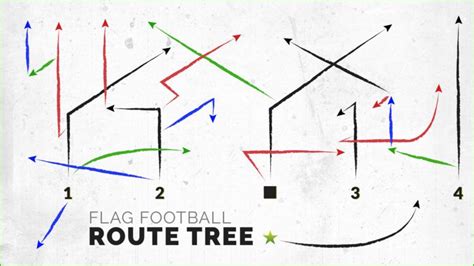 Guide to the ultimate flag football routes tree – Artofit