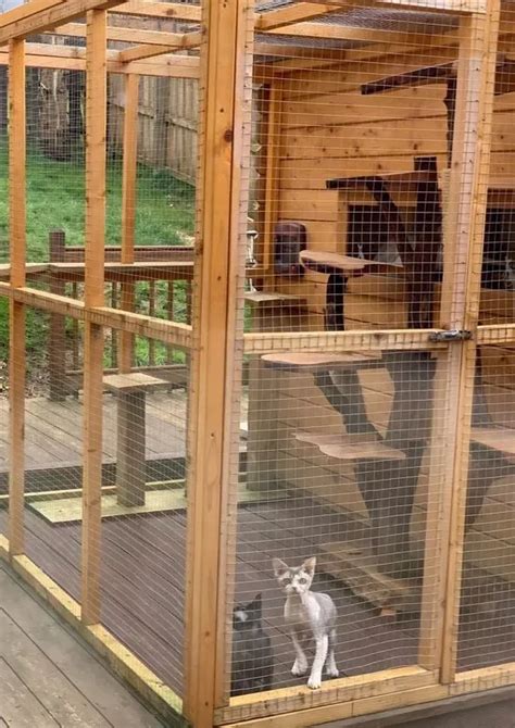 30 DIY Catio Ideas That Are Totally Pawsome PetHelpful Outdoor Cat