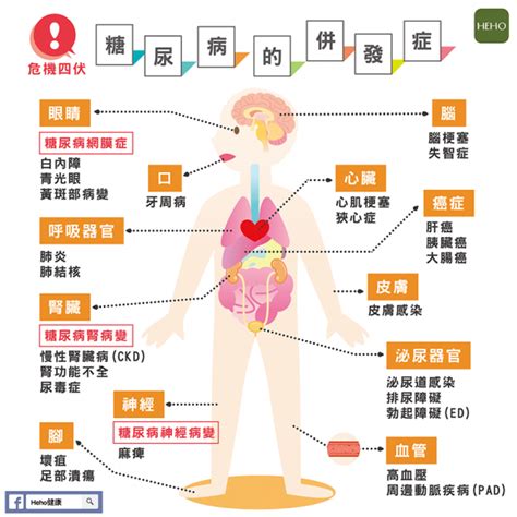 罹患糖尿病要小心！併發症才是要命原兇 Heho健康