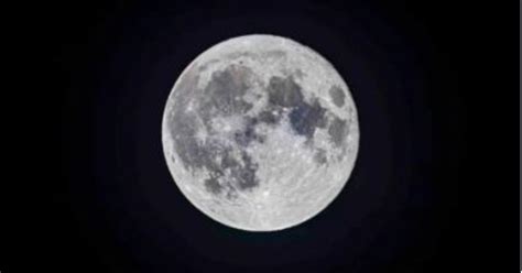 Farming on the Moon: Researchers Say With Worms, It's Possible