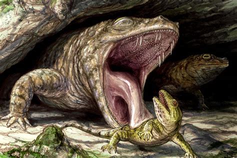 Paleontology | University of Toronto