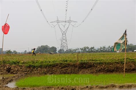 Bmkg Ingatkan Ancaman Gagal Panen Imbas Fenomena El Nino Dan Indian