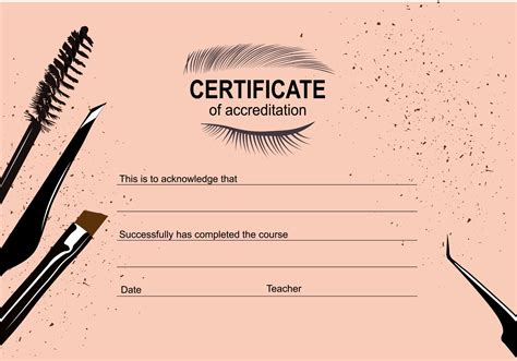 Certificate For The School Stylists On The Eyebrows And Eyelashes