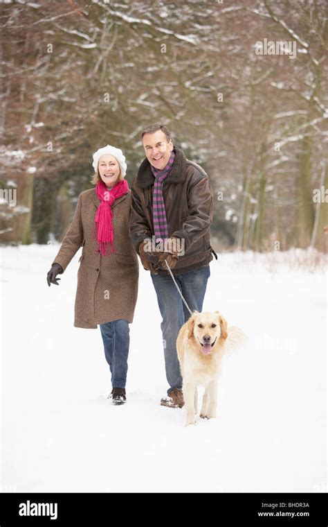 Senior Couple Walking Dog Through Snowy Woodland Stock Photo Alamy