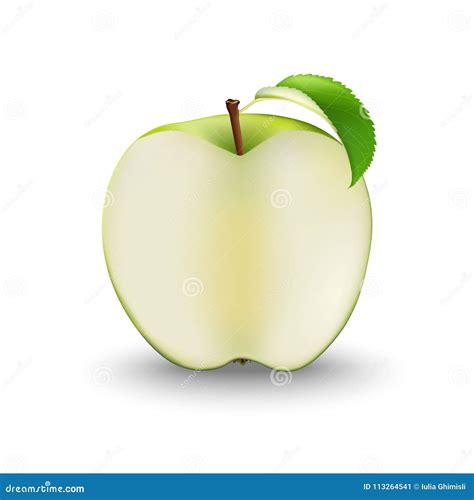 Vector Realistic Green Apple Cut In Half Sliced Fruit Stock Vector