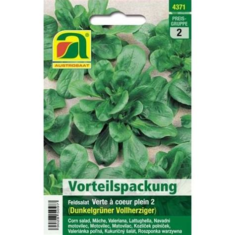 Austrosaat M Che Verte Coeur Plein Sachet Bloomling Belgique