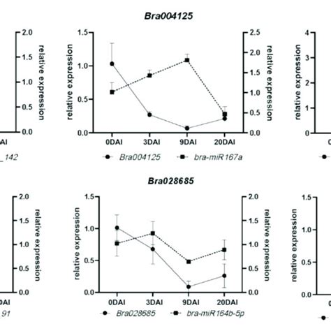 Qrt Pcr Validation Of Mirnas And Their Targeted Gene Expression At