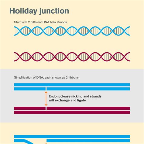 Biodesign Institute at Arizona State University on Twitter: "*NEW* The