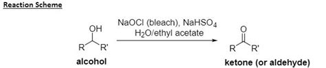 Solved Reaction Scheme Hnaoci Bleach Nahso4 Oh H2o Ethyl