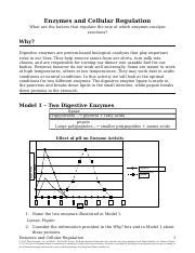 Enzymes And Cellular Regulation Factors Affecting Enzyme Course Hero