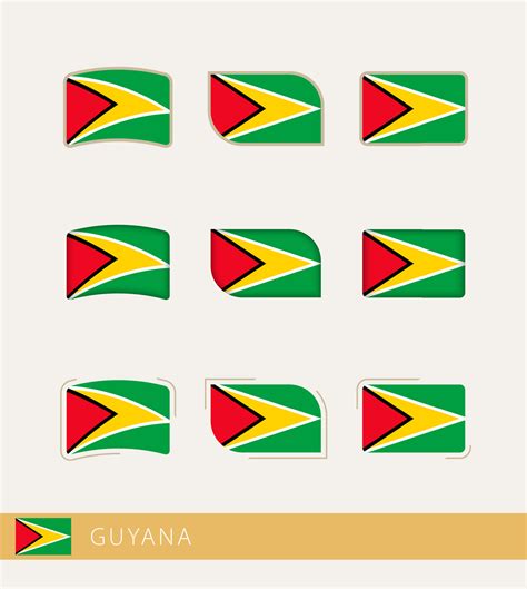 Vector flags of Guyana, collection of Guyana flags. 11690641 Vector Art