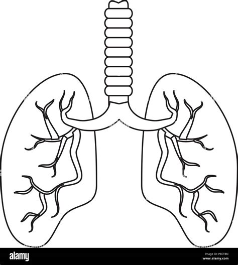 Human Lungs Icon Over White Background Vector Illustration Stock