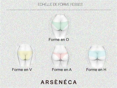 Les Diff Rentes Formes De Fesses En Fonction Du Corps Laboratoires