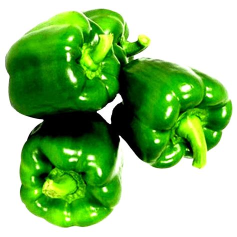 A Grade Organic Green Capsicum For Cooking Packaging Size Loose At