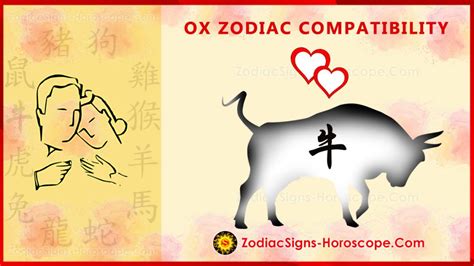 Ox Compatibility, Love and Marriage - Chinese Zodiac Compatibility