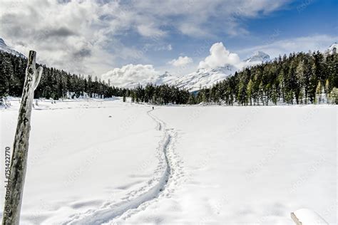 St Moritz Stazersee Lej Da Staz Holzsteg Stazerwald Bergsee