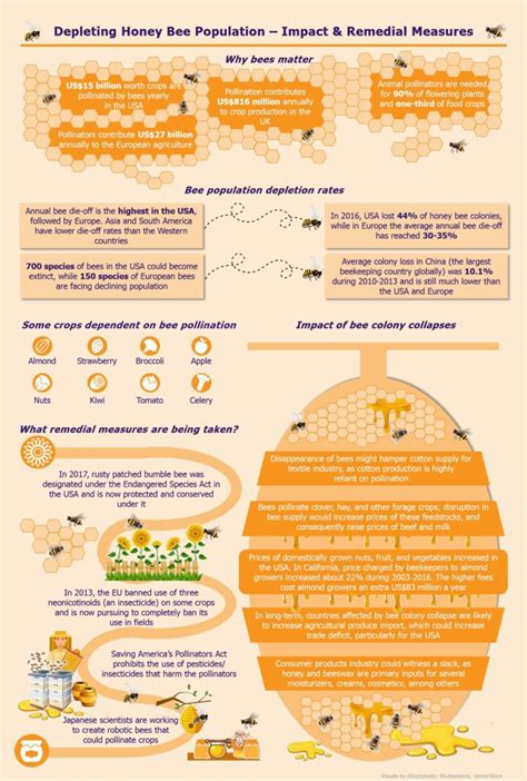 Infographic Dwindling Honey Bee Colonies Impact And Remedial Measures