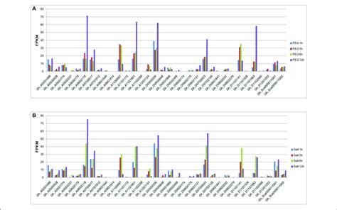 Expression Patterns Of Group Iid Wrky Genes Under Drought And Salt