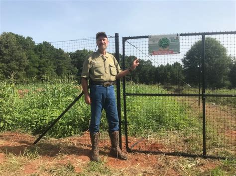 Trident Extruded Deer Fence With Reinforced Bottom Edge