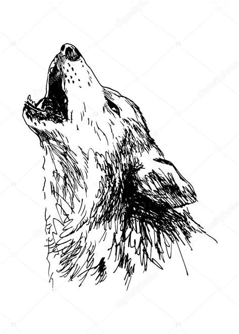 Howling Wolf — Stock Vector © Onot 75440353