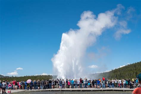 Everything You Need To Know About The America The Beautiful Pass