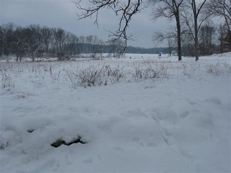 Rock Creek Winter Views | Gettysburg Daily